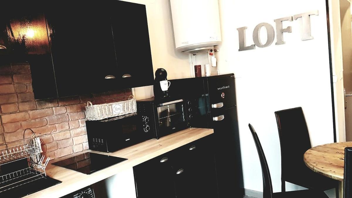 Montagnes Russes Apartment Grenoble Ngoại thất bức ảnh