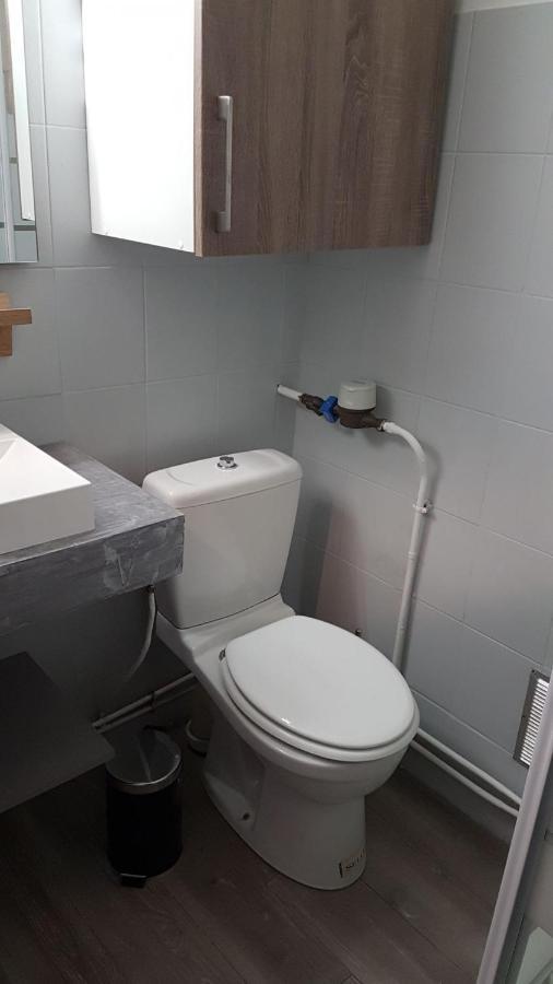 Montagnes Russes Apartment Grenoble Ngoại thất bức ảnh